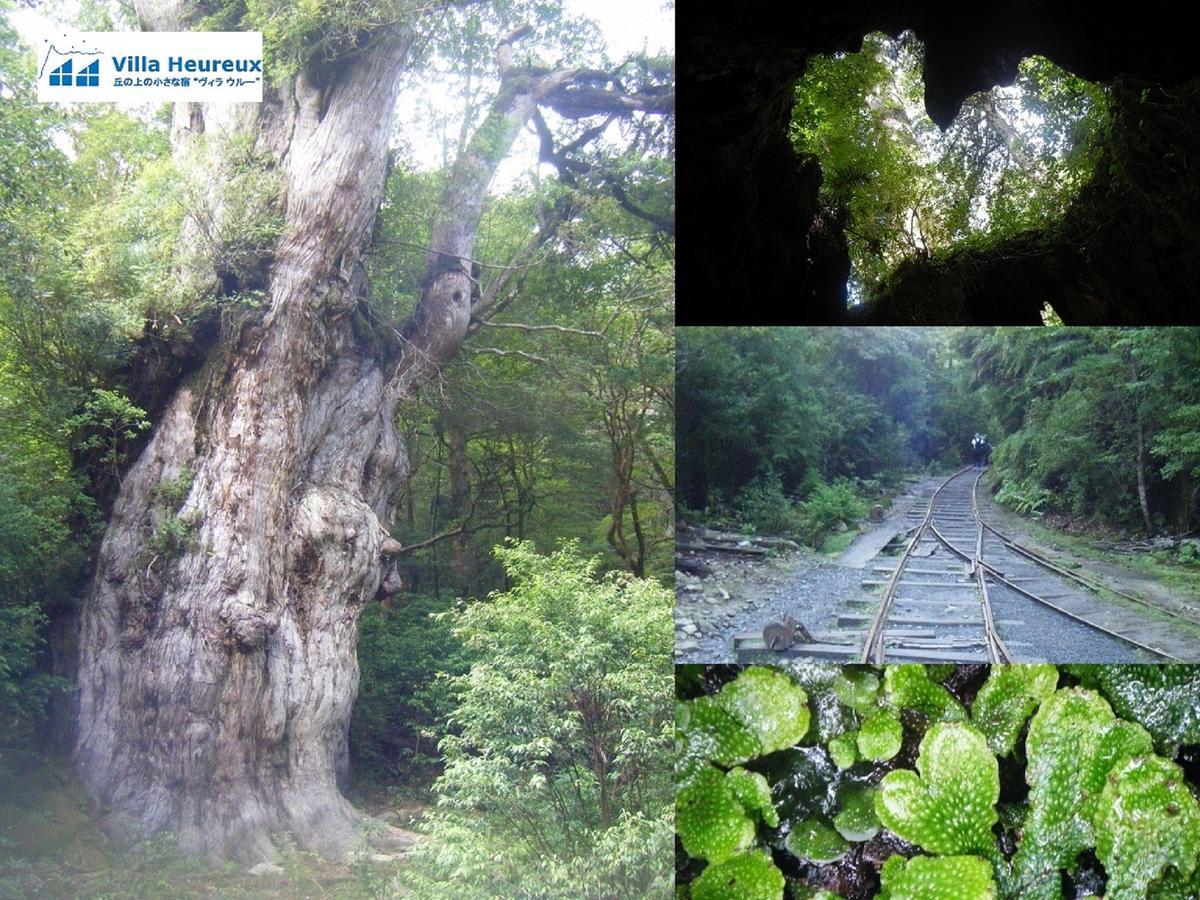 ヴィラ ウルー屋久島町 エクステリア 写真