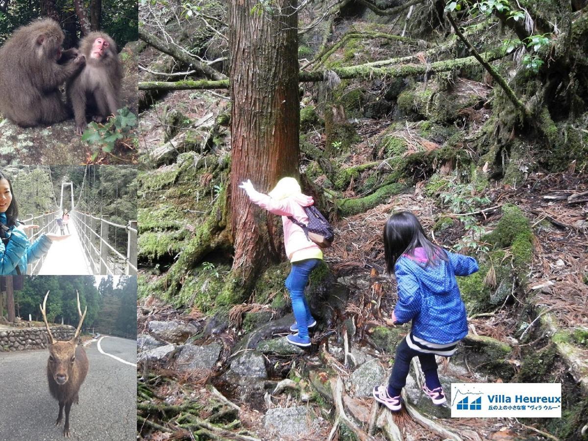 ヴィラ ウルー屋久島町 エクステリア 写真